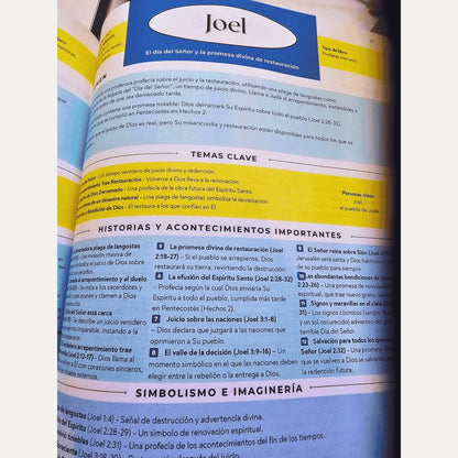 La Biblia Resumen y Esquemas